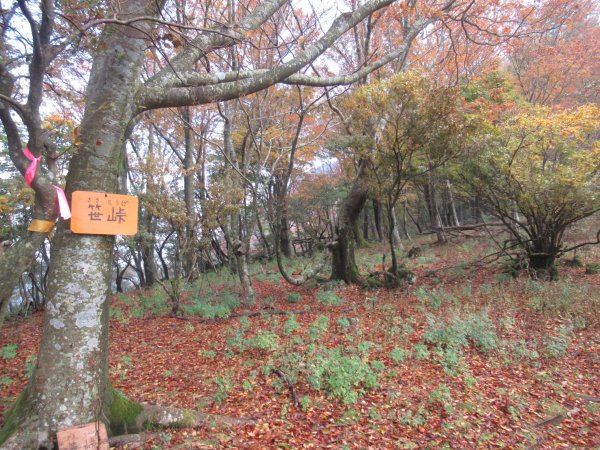 笹峠 